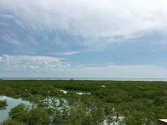 -北海金海湾红树林生态旅游区