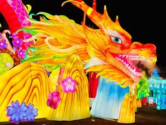 -武汉园博园(武汉自然博物馆)