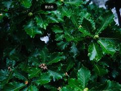 -白草畔自然风景区