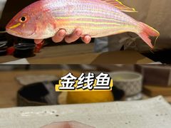-镹·鱼料理  国产鱼使用店