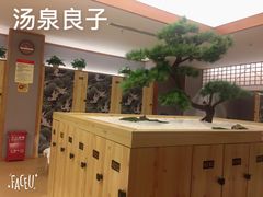 -汤泉良子(金源店)