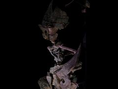 -三星堆博物馆