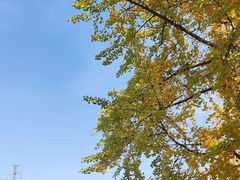 -成都市活水公园