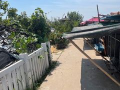 -樂桃源奉贤黄桃种植采摘基地