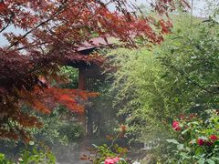 -麦积山温泉
