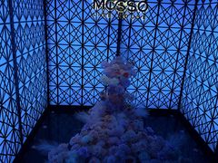 -MOSSO·Liveshow(M3香港广场店)
