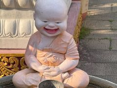 -西双版纳傣族园