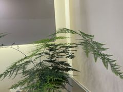 -海马体照相馆(上海宝山万达广场店)