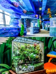 -酷嗒动物文化乐园(cutezoo西溪乐天城店)