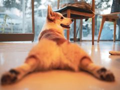 -平行世界·猫咖(首经贸店)