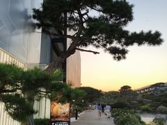 -罗红摄影艺术馆