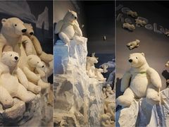 -济州岛泰迪熊博物馆