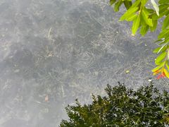 -贡湖湾湿地公园