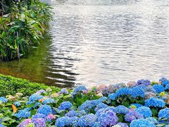 -荔湾湖公园