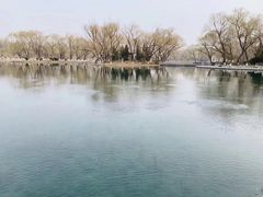 -百脉泉景区