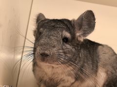 -龙猫仔乐园(惠福东路店)