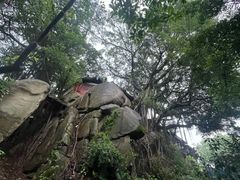 -乌山风景区