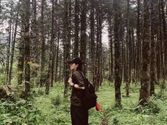 -石棉县孟获城