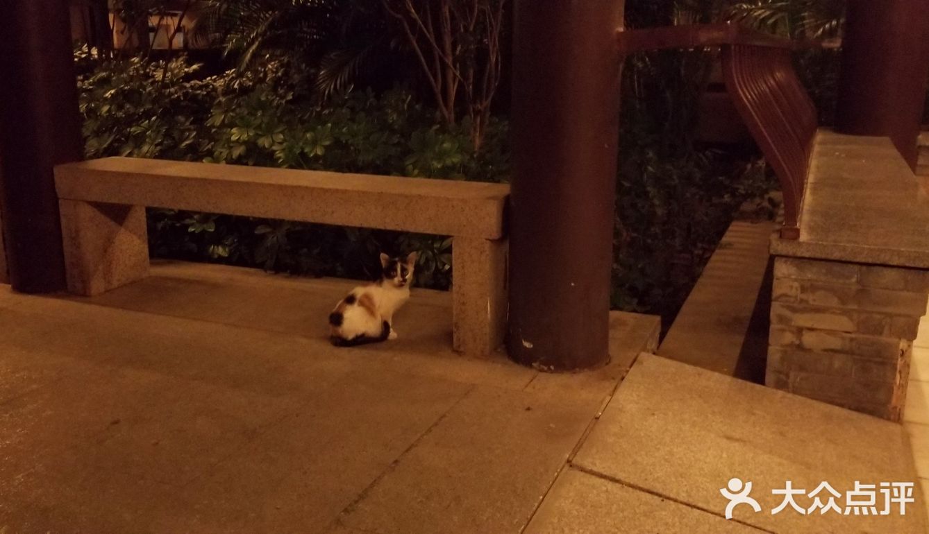 [种草]小朋友，你是否有许多问号❓❓❓