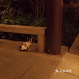 [种草]小朋友，你是否有许多问号❓❓❓