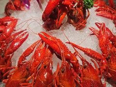 -京悦南门涮羊肉·羊蝎子火锅(田林路店)