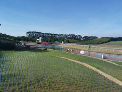 -迪茵湖田家舍生态农场