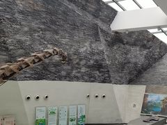 -中华赏石园