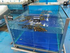 -麦德龙(包河店)