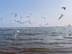 -老虎石海上公园