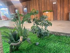 -青岛东方影都融创水世界