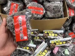 -富士山吉田線五合目