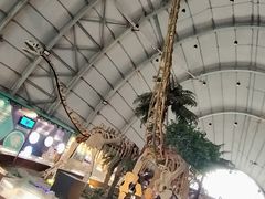 -辽宁古生物博物馆