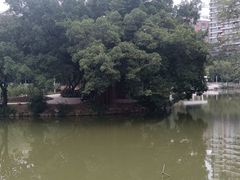 -人民公园(罗湖区)