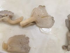 -金新街边打边炉(天安花园店)