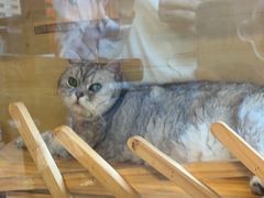 -艺味深尝(云锦路店)