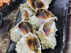 清蒸大海螺-张会海鲜饭店(东戴河店)