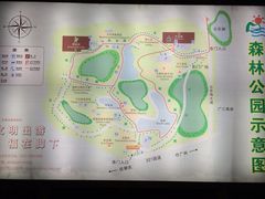 地图-三水森林公园