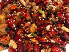 -雲蜀龙阁·金牌水煮鱼(方庄店)