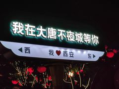 -大唐不夜城