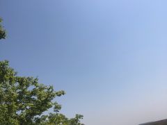 -盐城丹顶鹤湿地生态旅游区