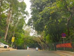 -南国桃园旅游度假区