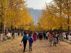 -辽宁大学(崇山校区)
