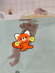 -Pony Baby宝尼婴幼儿游泳SPA馆