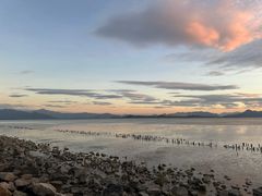 -深圳湾公园(南山区)