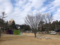 -金泽21世纪美术馆