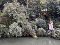 -杭州黄龙洞