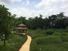 -广西壮族自治区药用植物园