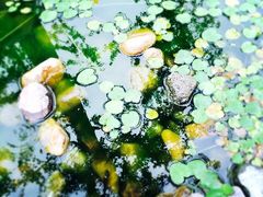 iphone_upload_pic-活水公园