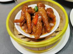 -采蝶轩