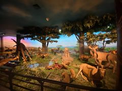 -国家自然博物馆